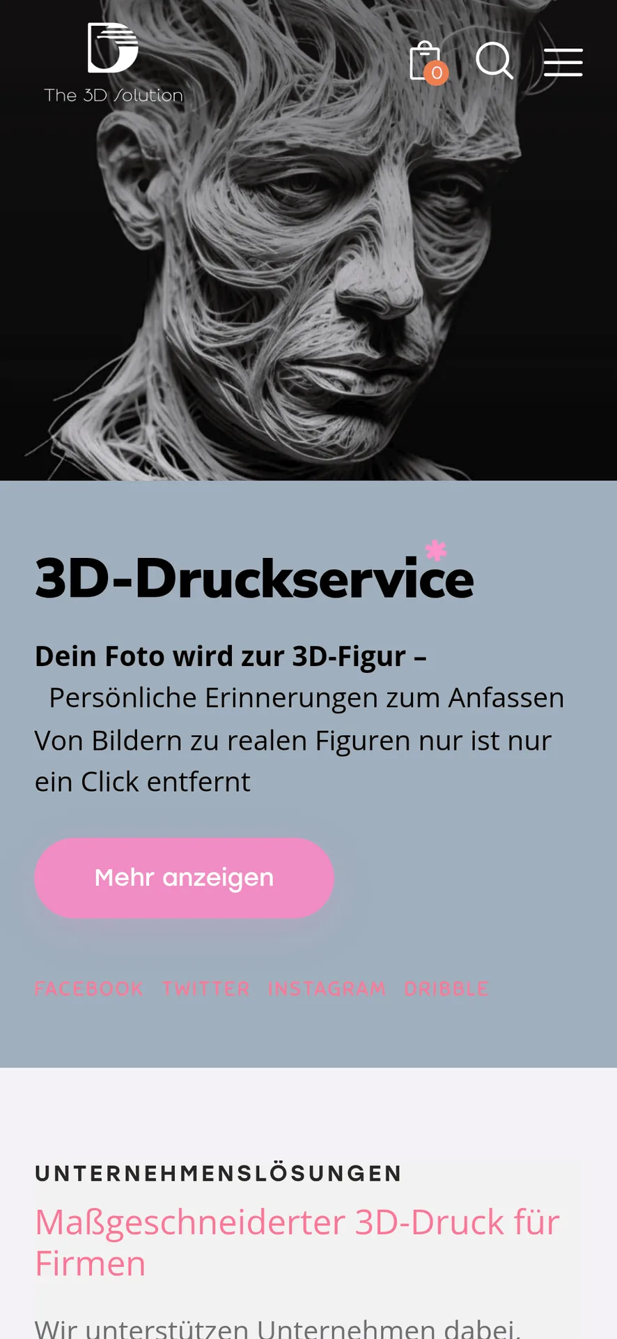 The 3D Solution Service-Detail